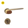 Khas Triumph Plus RHL TN005 door handle set featuring an antique brass and wood finish, showcasing a rounded, minimalistic design.